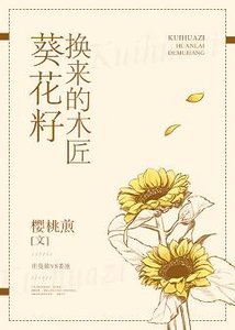 葵花籽换来的木匠